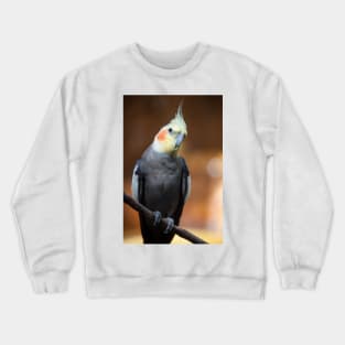 Smiley Cockatiel Crewneck Sweatshirt